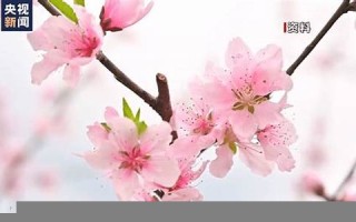 3月21日(3月21日是什么星座的)