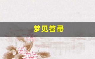 梦见笤帚(梦见笤帚和簸箕)