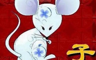 属鼠的和什么属相最配(属鼠的和什么属相最配婚姻最合适)