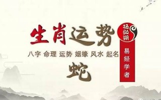 属蛇2019年运势(属蛇人2019年运势及运程)