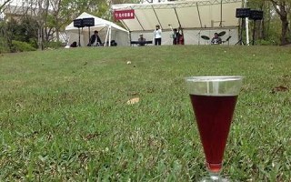 2015年12月04日(2015年12月4日到今天多少天)