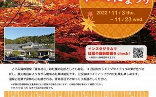 11月12日(11月12日出生的人)