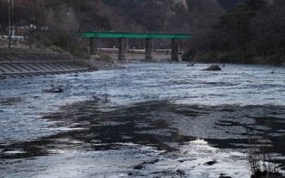 2012年1月15日(2012年1月15日出生属什么)