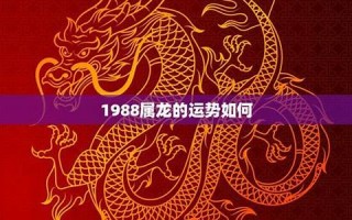 属龙人2019年运势(属龙人2025年运势运程)