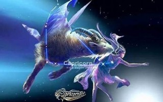 摩羯座女人(摩羯座女人喜欢怎样的男人)