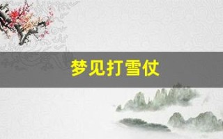梦见打雪仗(梦见打雪仗) 梦见打雪仗(梦见打雪仗)