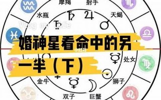 星座命理测算(星座命理查询)